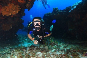 Underwater Museum : Discover Scuba Diving Experience