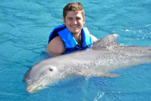 Cancún: Encuentro con Delfines en Isla Mujeres con Buffet