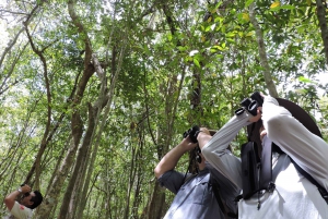 Cancún: Excursión guiada de observación de aves