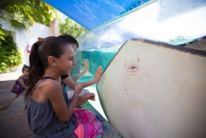 Cancún Interactive Aquarium Admission + Dolphin Presentation