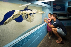 Cancún: Interactive Aquarium Admission