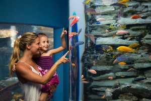 Cancún: Interactive Aquarium Admission