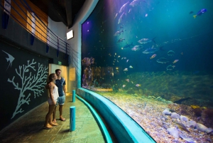 Cancún: Interactive Aquarium Admission