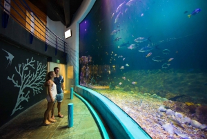 Cancún: Ticket de entrada al Acuario Interactivo