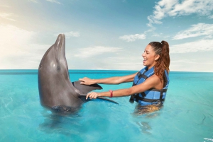 Cancún: Isla Mujeres Catamaran Tour & Swim with Dolphins