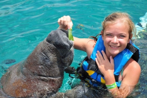 Cancún: Encuentro con Manatíes en Isla Mujeres con Comida Buffet