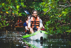 Cancún: aventura en kayak por la mañana