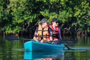 Cancún: aventura en kayak por la mañana