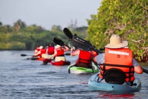 Cancún: aventura en kayak por la mañana