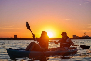 Cancún: aventura en kayak por la mañana