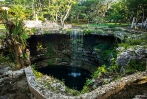 Cancún/Playa del Carmen: tour de Chichén Itzá, cenote y Cobá