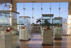 Cancun: Skip-the-Line Mayan Museum & San Miguelito Site