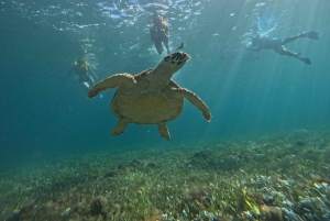 Cancun: Snorkeling Boat Tour with Gear