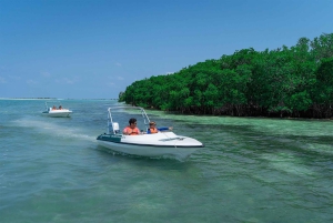 Cancun: Speedboat tour to a Virgin Beach