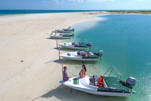 Cancun: Speedboat tour to a Virgin Beach
