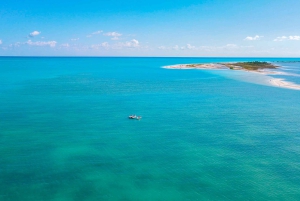 Cancun: Speedboat tour to a Virgin Beach