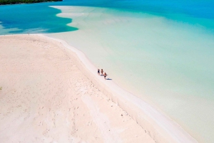 Cancun: Speedboat tour to a Virgin Beach