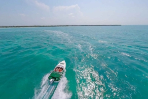 Cancun: Speedboat tour to a Virgin Beach