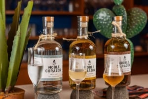 Cancún: Experiencia de Cata de Tequila con Maridaje