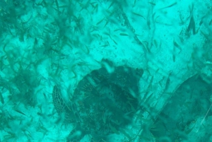 Cancun: Transparent Boat Tour with Soft Drinks
