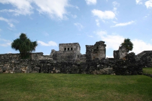 Cancún: Excursión Arqueológica y de Naturaleza por Tulum, Cobá y Cenotes