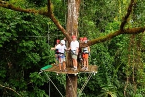 Canopy in Manuel Antonio