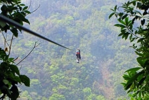 Canopy in Manuel Antonio