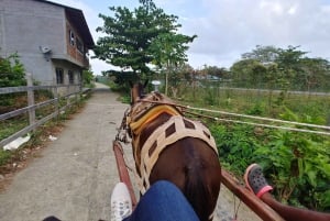 Capurganá Colombia: Private All-Inclusive Escape to Paradise