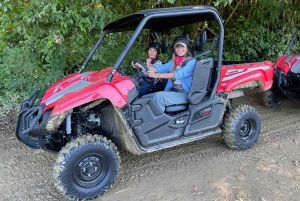 Carabalí Rainforest Park: 2-Hour UTV Adventure Tour