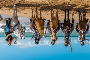 Parque Selva Carabalí: Paseo a caballo por la playa