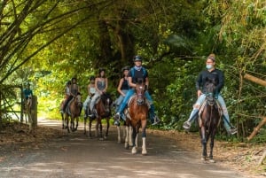 Carabalí Rainforest Park: Rainforest Horseback Riding Tour