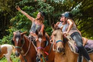 Parque de la selva tropical de Carabalí: recorrido a caballo por la selva tropical