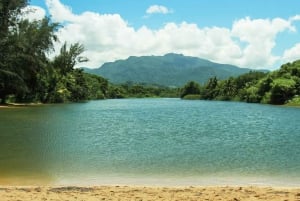 Parque de la selva tropical de Carabalí: recorrido a caballo por la selva tropical