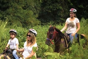 Parque de la selva tropical de Carabalí: recorrido a caballo por la selva tropical