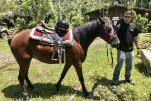 Parque de la selva tropical de Carabalí: recorrido a caballo por la selva tropical