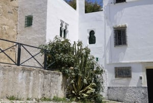 Casablanca Jewish Heritage Private Tour