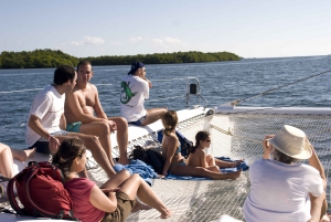 Things to do and best tours in Cuba
