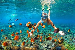 Catamaran party Boat con open bar y snorkeling en punta cana