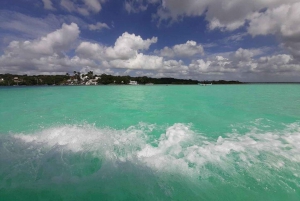 Catamaran party Isla Mujeres with drinks & lunch