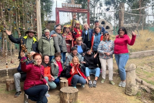 City Tour Cusco & Camelids Tour & Pachamanca