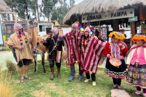 Tour de la ciudad Cusco & Tour de Camélidos & Pachamanca