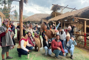 City Tour Cusco & Camelids Tour & Pachamanca