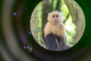 Tour de la ciudad ( Manuel Antonio y Quepos)