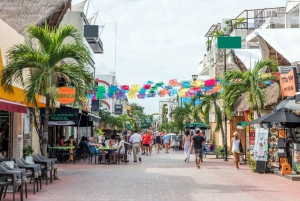 Excursión a Cobá, Cenote, Tulum y Playa del Carmen