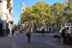 Colonia & Montevideo from Buenos Aires - Private 2 Day Tour