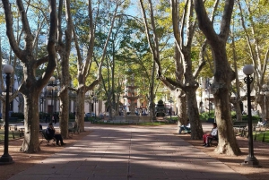 Colonia & Montevideo from Buenos Aires - Private 2 Day Tour