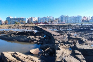 Colonia & Montevideo from Buenos Aires - Private 2 Day Tour