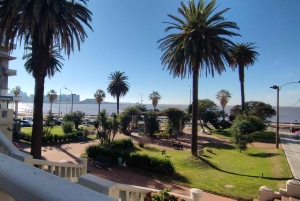 Colonia & Montevideo from Buenos Aires - Private 2 Day Tour