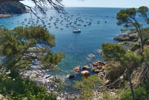 Costa Brava y Pueblos Medievales Excursión de un Día