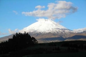 Cotopaxi National Park & Quilotoa Full-Day Tour